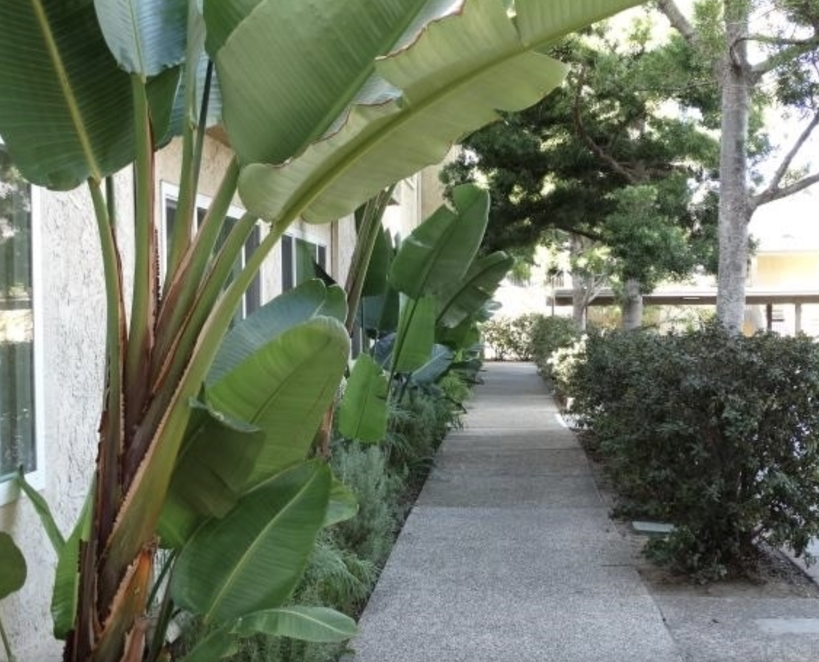 Screenshot 2026-01-22 at 7.48.04 PM